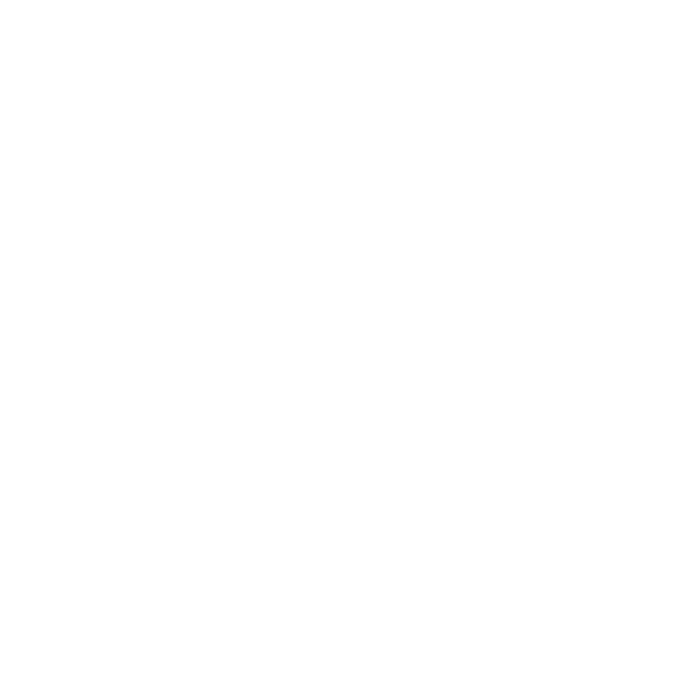 Five Roleplay logotipas